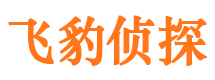 铜陵市侦探调查公司